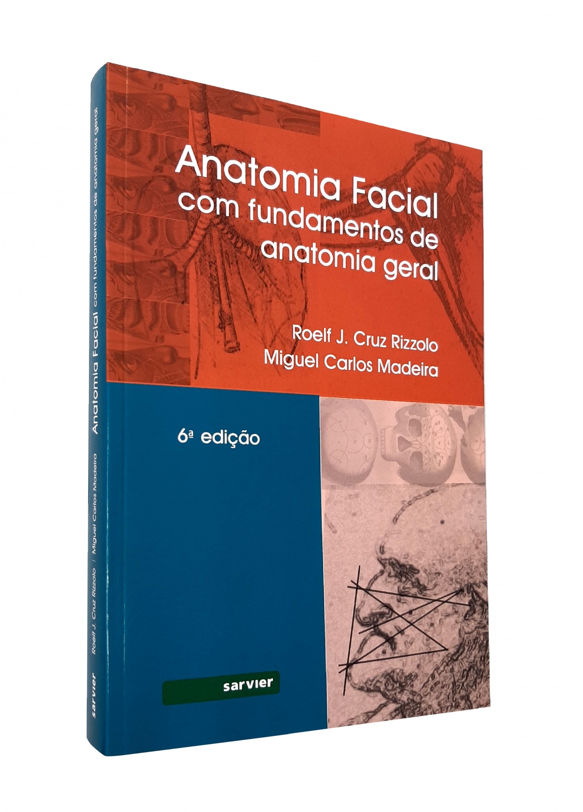 Anatomia Facial Com Fundamentos De Anatomia Geral