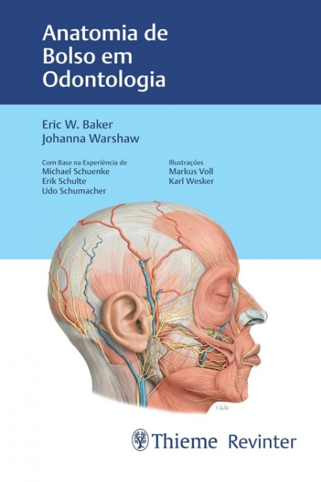Anatomia De Bolso Em Odontologia
