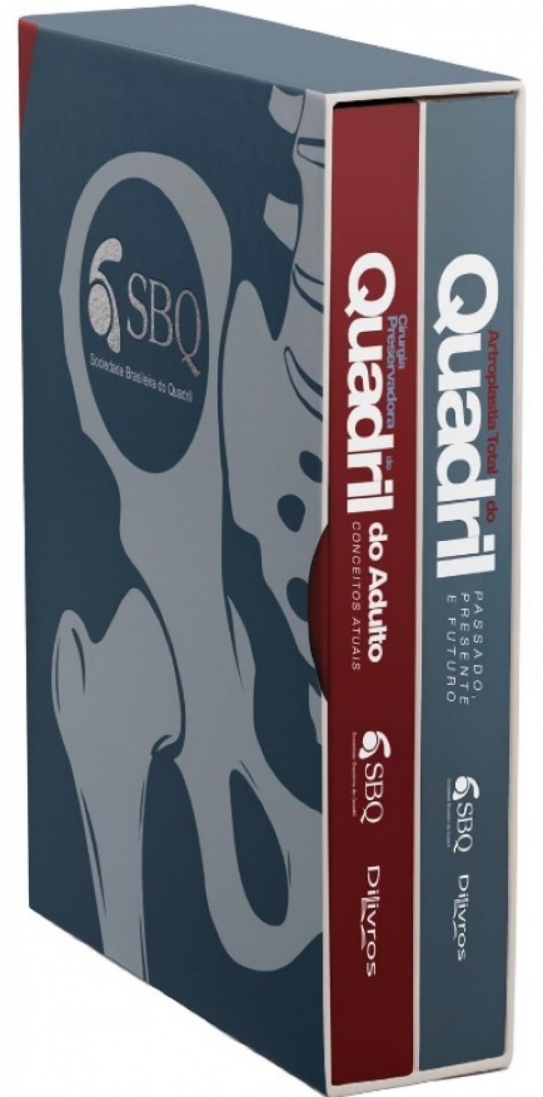 Sbq Quadril Artroplastia Total Do Quadril/ Cirurgia Preservadora Do Quadril Do Adulto
