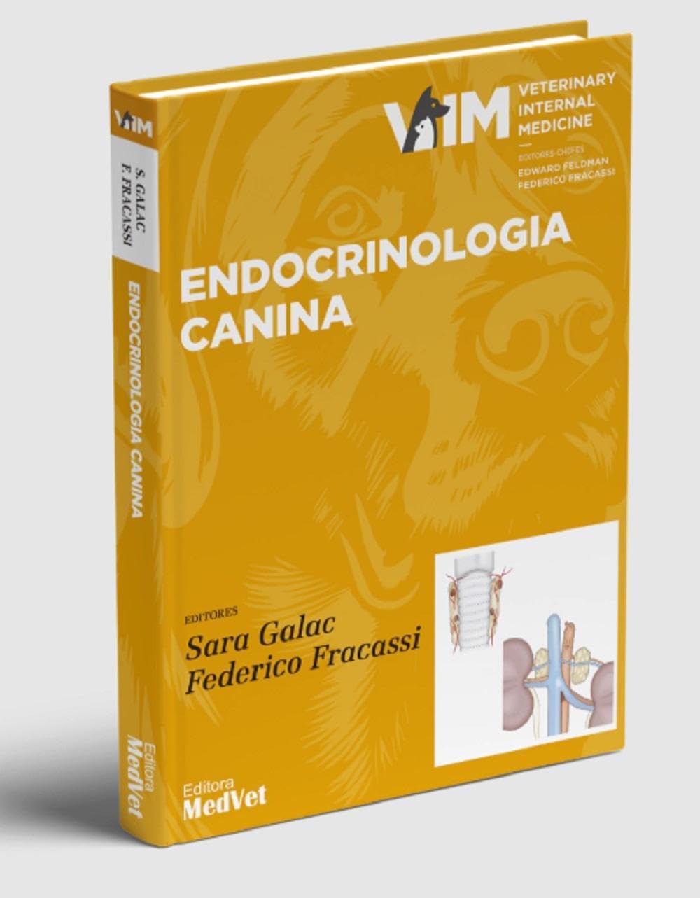 Endocrinologia Canina