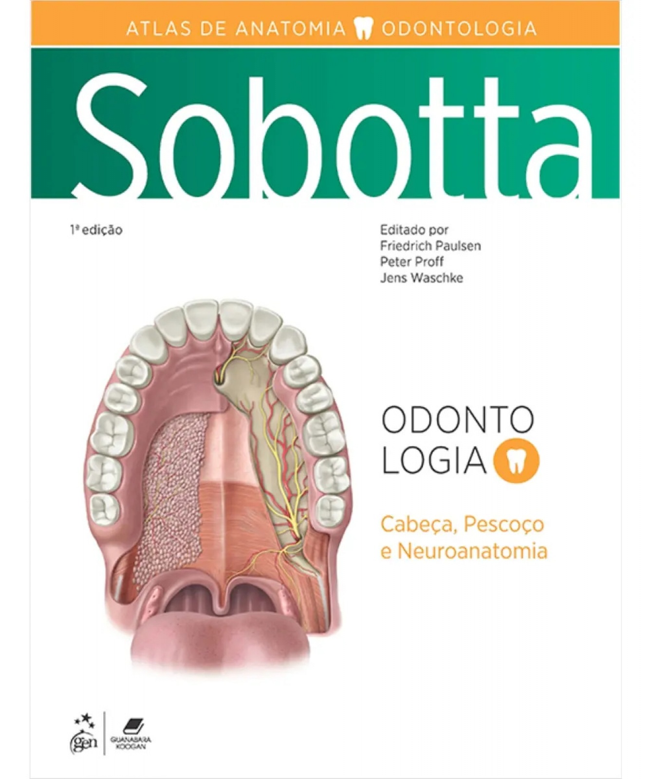 Sobotta Atlas De Anatomia - Odontologia | Cabeça, Pescoço E Neuroanatomia